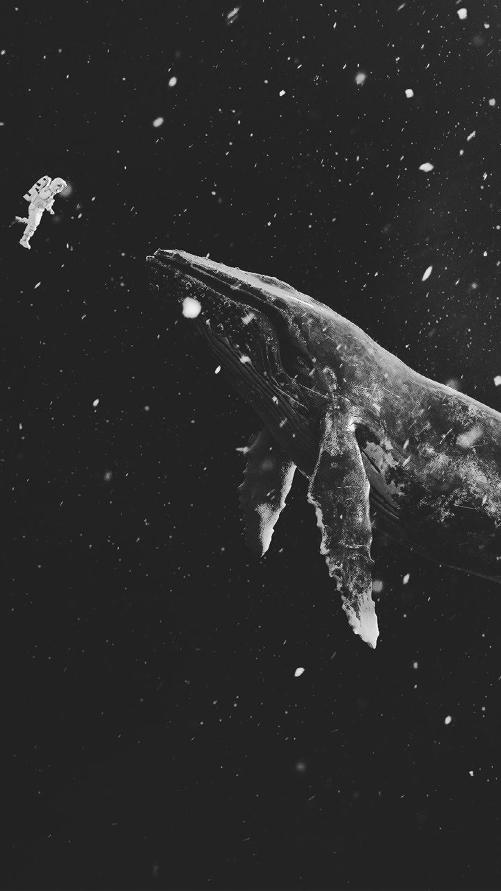 a black and white photo of a whale in the water