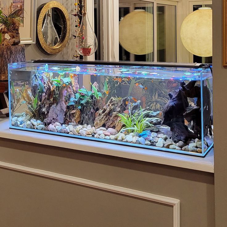 a fish tank filled with lots of water next to a wall mounted clock and mirror