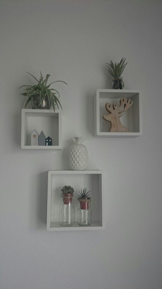 three white shelves with plants and vases on them