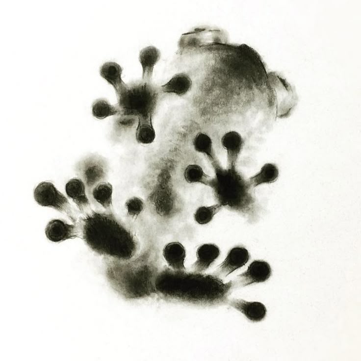 a black and white photo of an animal's paw prints