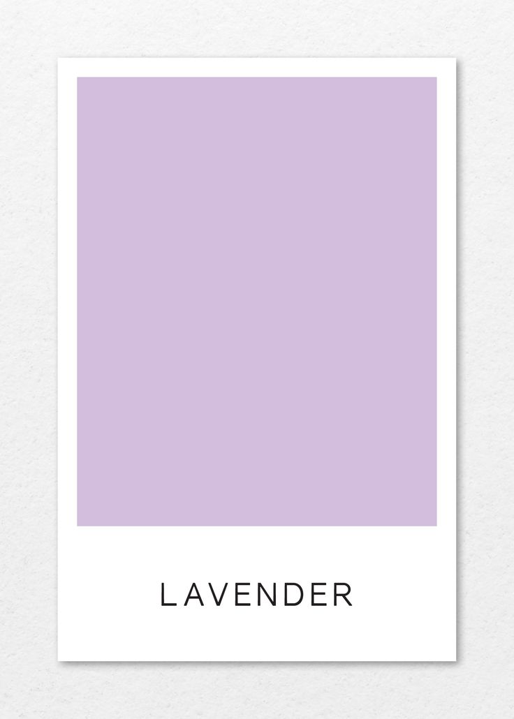 the word lavender is shown in black and white on a light purple background with an overlay