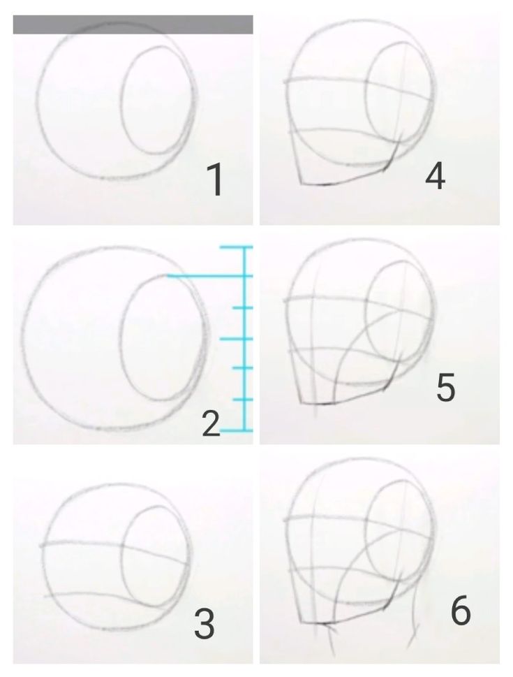 the steps to draw a human head