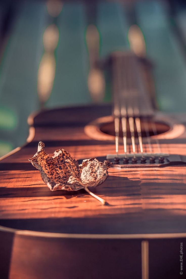 a close up of an acoustic guitar with the fret and strings missing from it