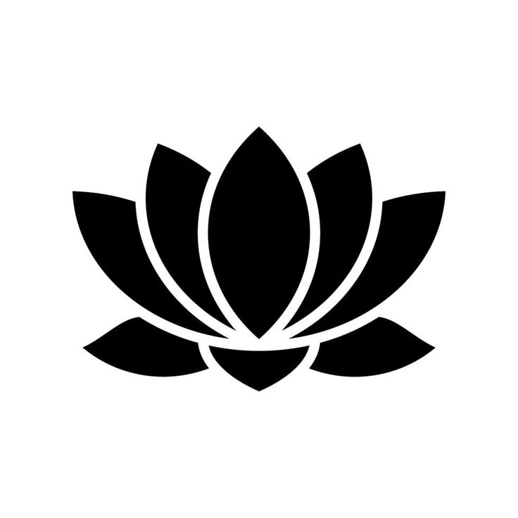 a black and white image of a lotus flower on a white background, with the petals slightly open