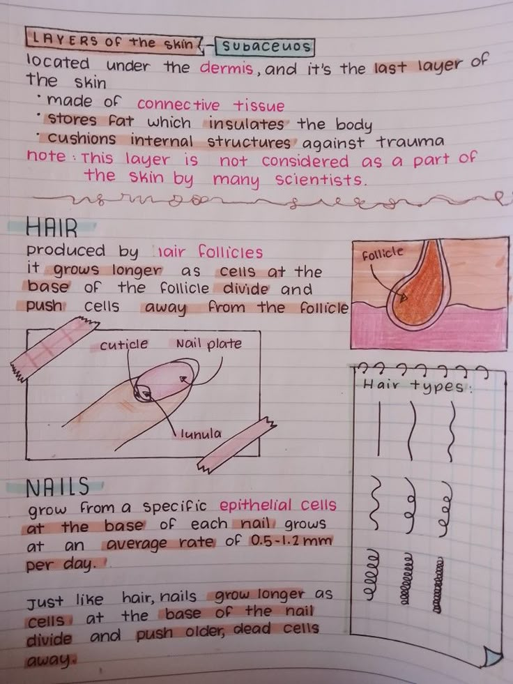 a piece of paper with information about hair and nails on it, including instructions for how to use them