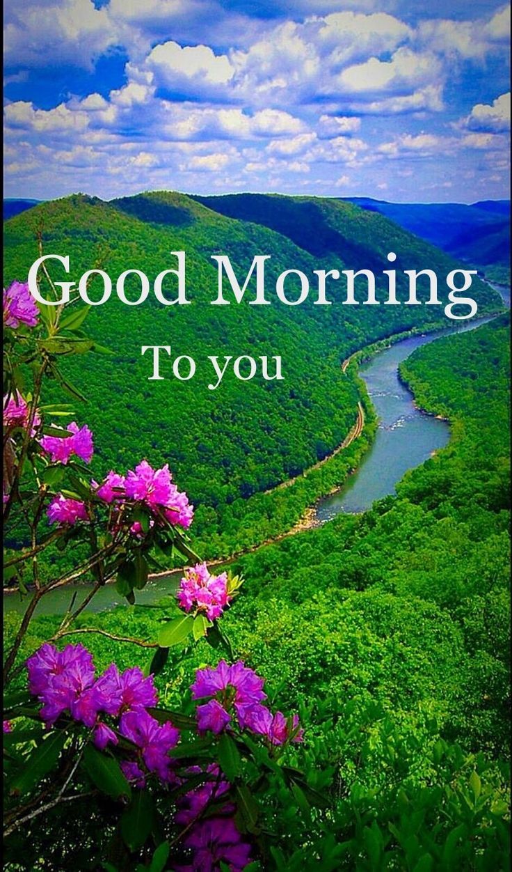 the words good morning to you are surrounded by purple flowers and green hills in the background