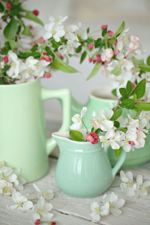 some white flowers and green pitchers on a table