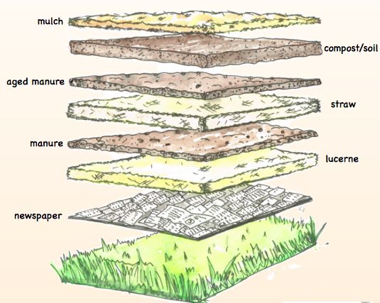 the layers of soil are labeled in this diagram, and each layer contains different types of soil