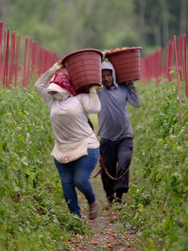 two people carrying buckets on their heads through a field