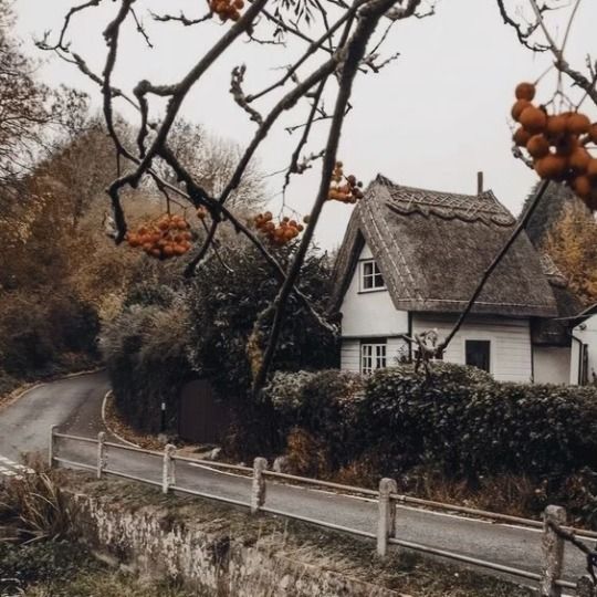 a white house with a thatched roof next to a fence and trees in the foreground