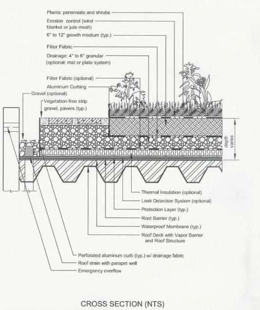 the cross section in this diagram shows different types of plants