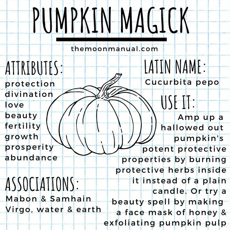 Pumpkin Spells Witchcraft, Green Witch Book Of Shadows, Witch Diary, The Green Witch, Herbal Witch, Witchcraft Herbs, Rosemary Sage, Magickal Herbs, Witch Herbs