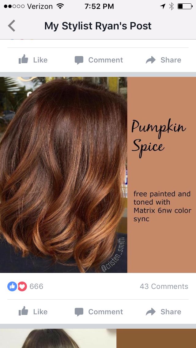 Pumpkin Spice Hair, Red Brown Hair, Red Highlights, Winter Hair Color, Trendy Hair Color, Hair Color And Cut, Hair Color Balayage, Winter Hairstyles, Hair Color Trends