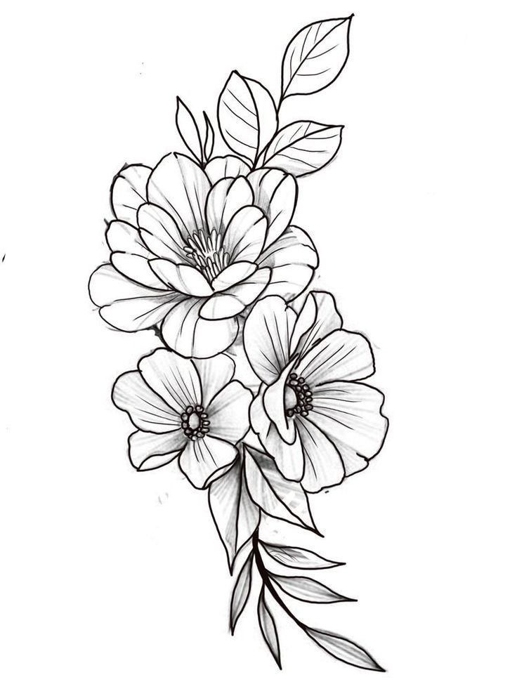 a drawing of flowers with leaves on the stems and one flower in the middle, drawn by