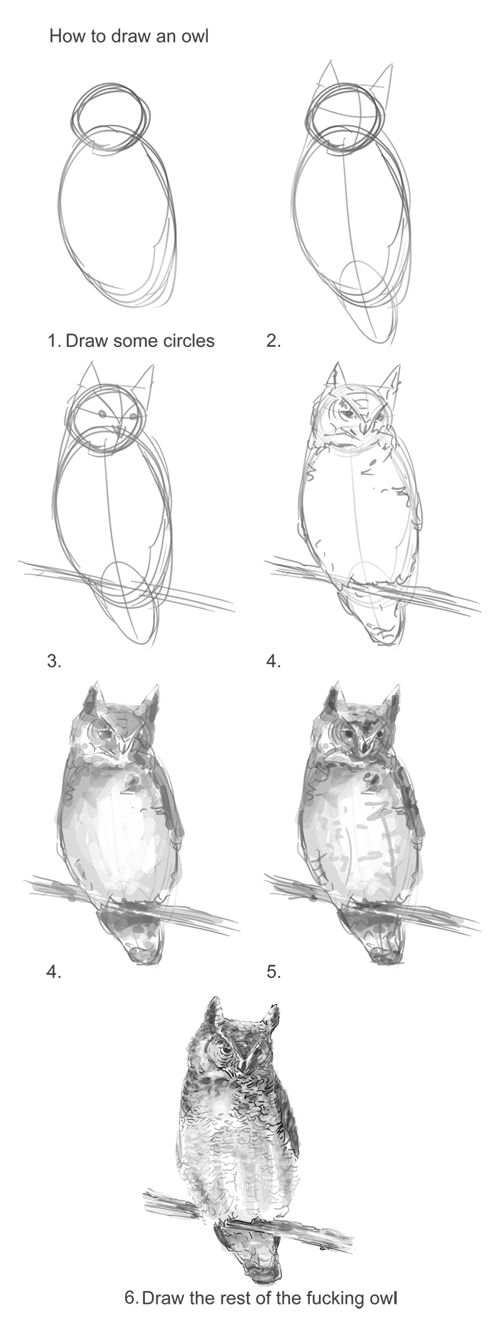 how to draw an owl sitting on a branch with four different angles and the instructions below