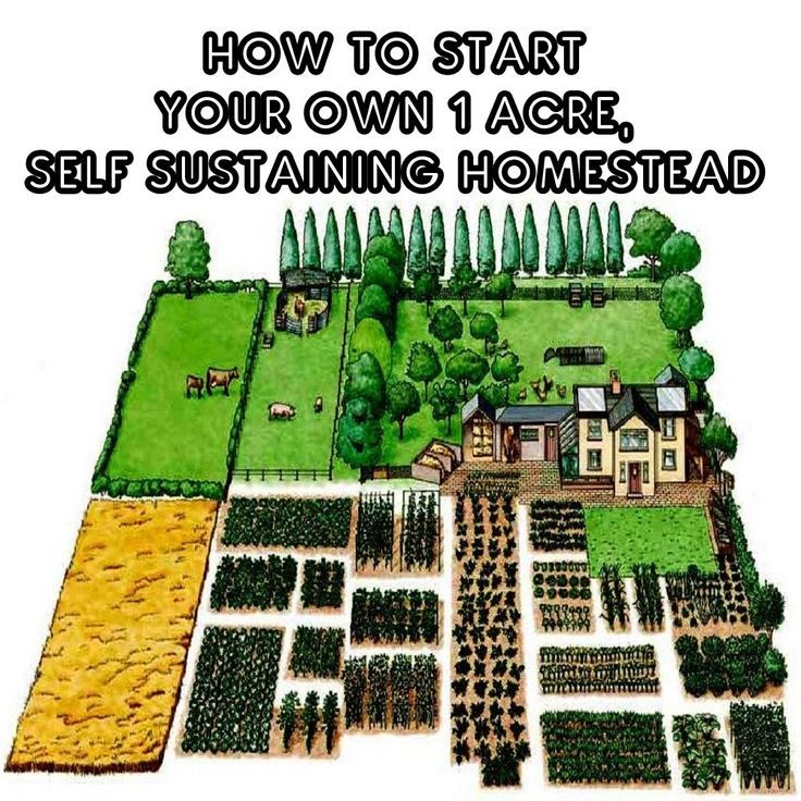 how to start your own 1 agre self - sustening homestaad