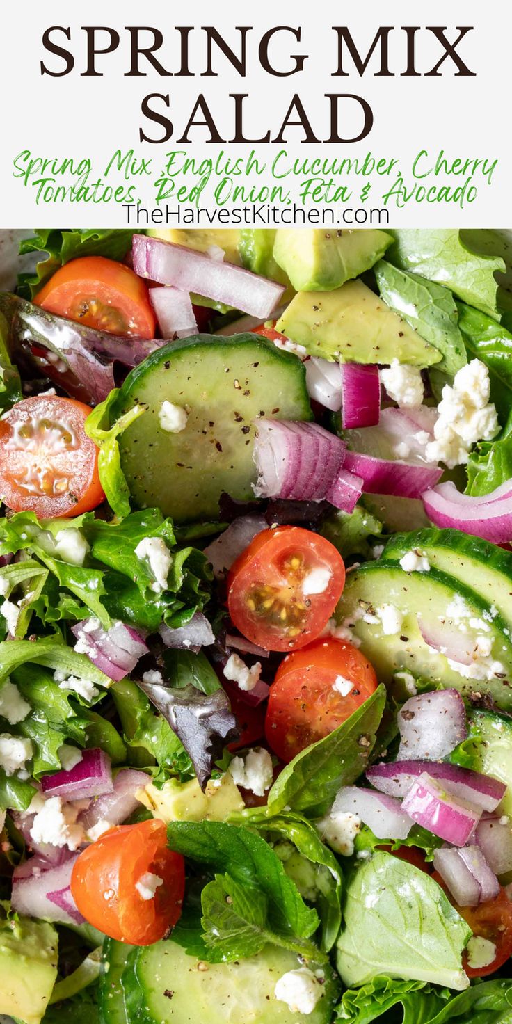 a salad with lettuce, tomatoes, cucumber and feta cheese