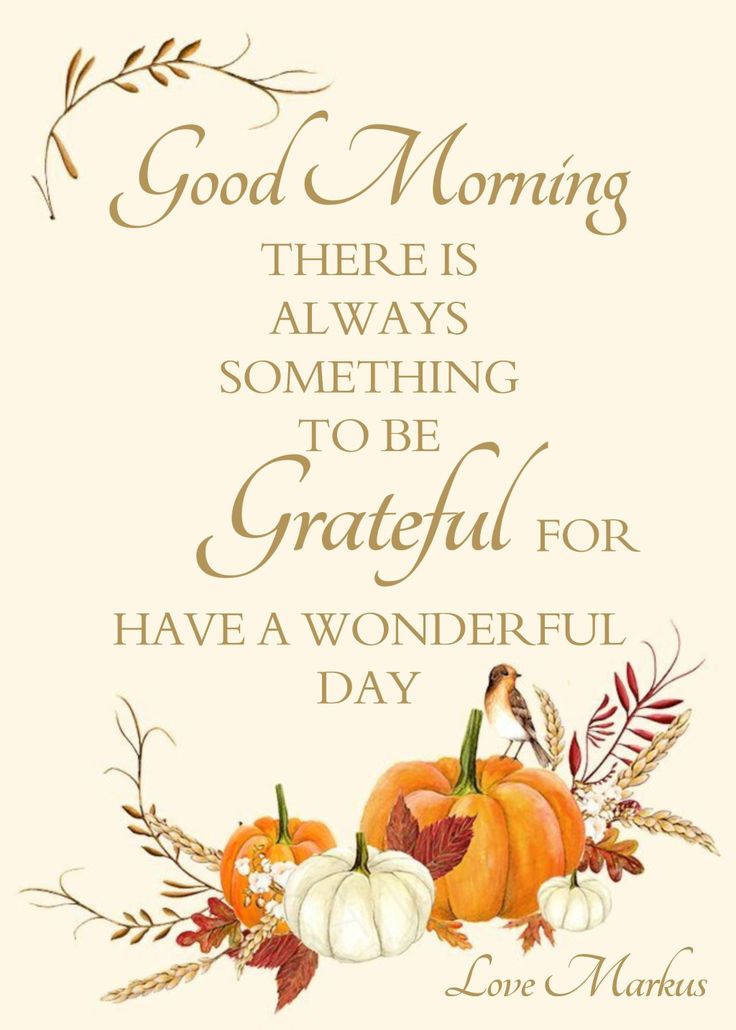 a thanksgiving card with pumpkins, leaves and flowers on the bottom reads good morning there is always something to be grateful for have a wonderful day