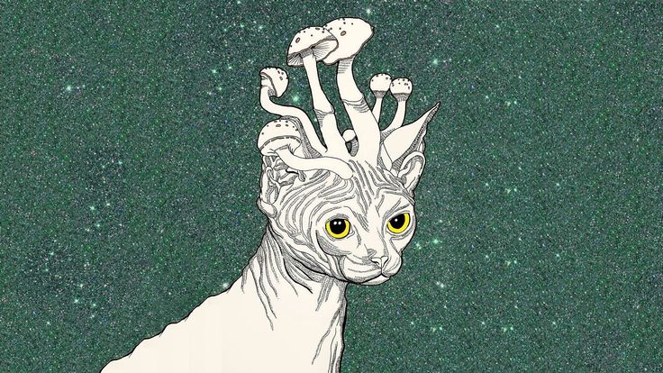 a drawing of a cat with mushrooms on its head