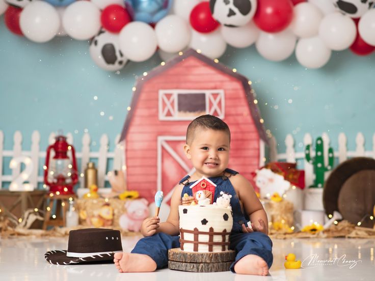 a little boy sitting in front of a cake