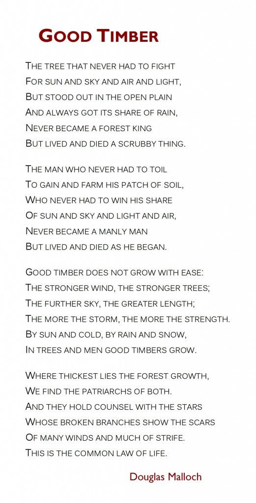 a poem written in red and white with the words good timber on it's left side