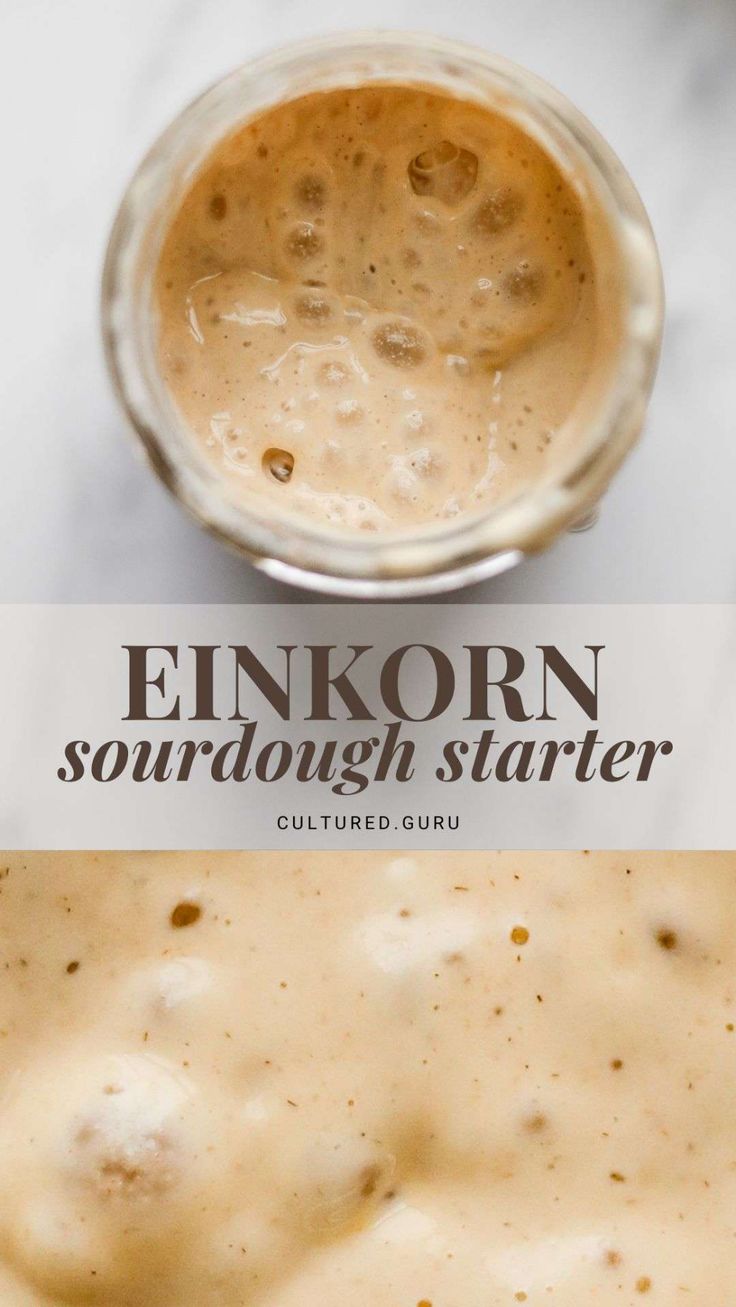 an enkorn soup in a glass bowl with sauce on the side and text overlay that reads enkorn sourdough starter