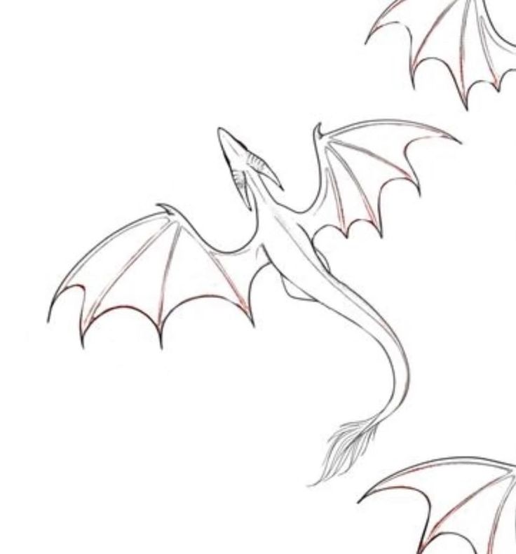 a drawing of a dragon flying in the air