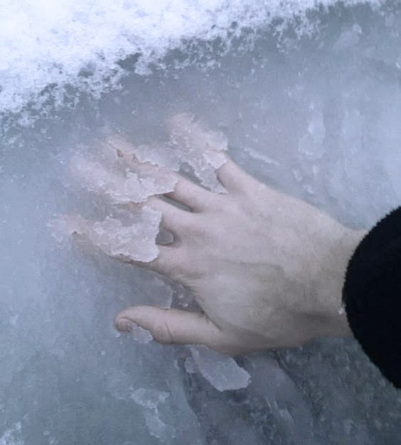 a person's hand holding something in the ice