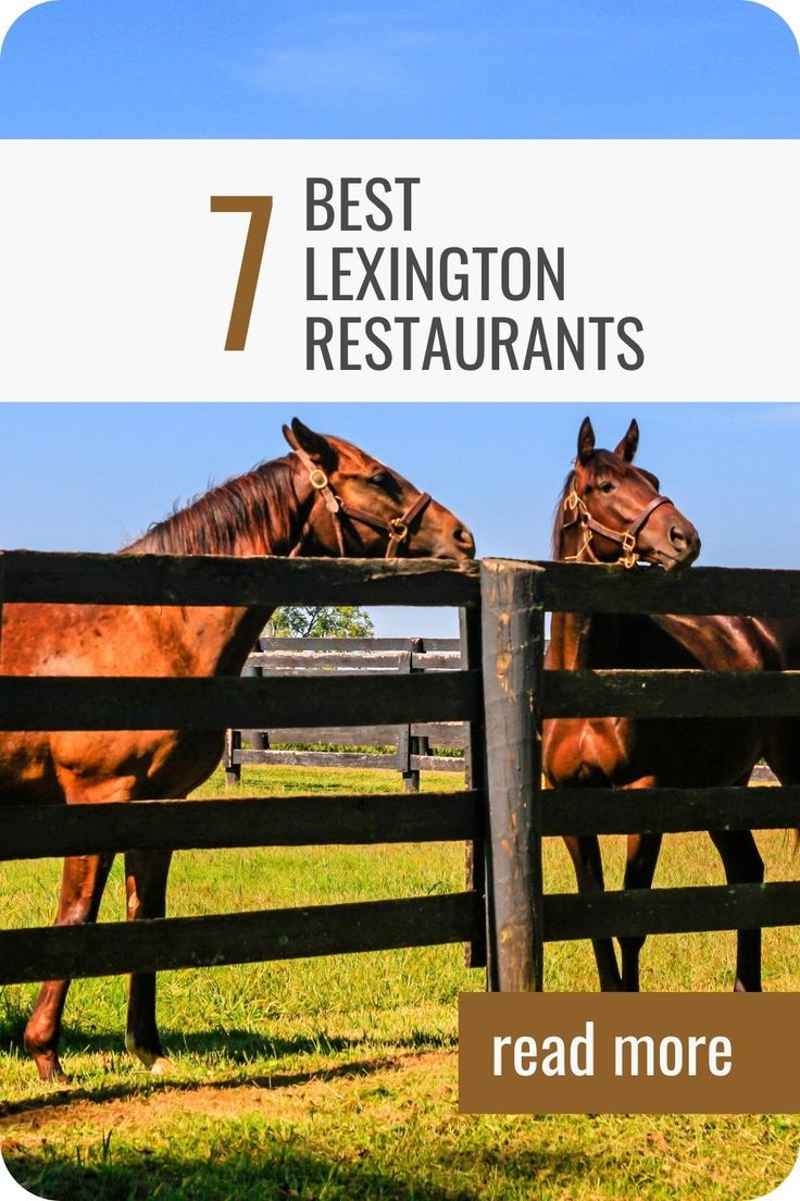 two brown horses standing next to each other on top of a lush green field with the words 7 best lexington restaurants read more