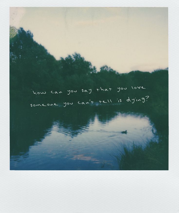 an image of a lake with trees in the background and a quote written on it