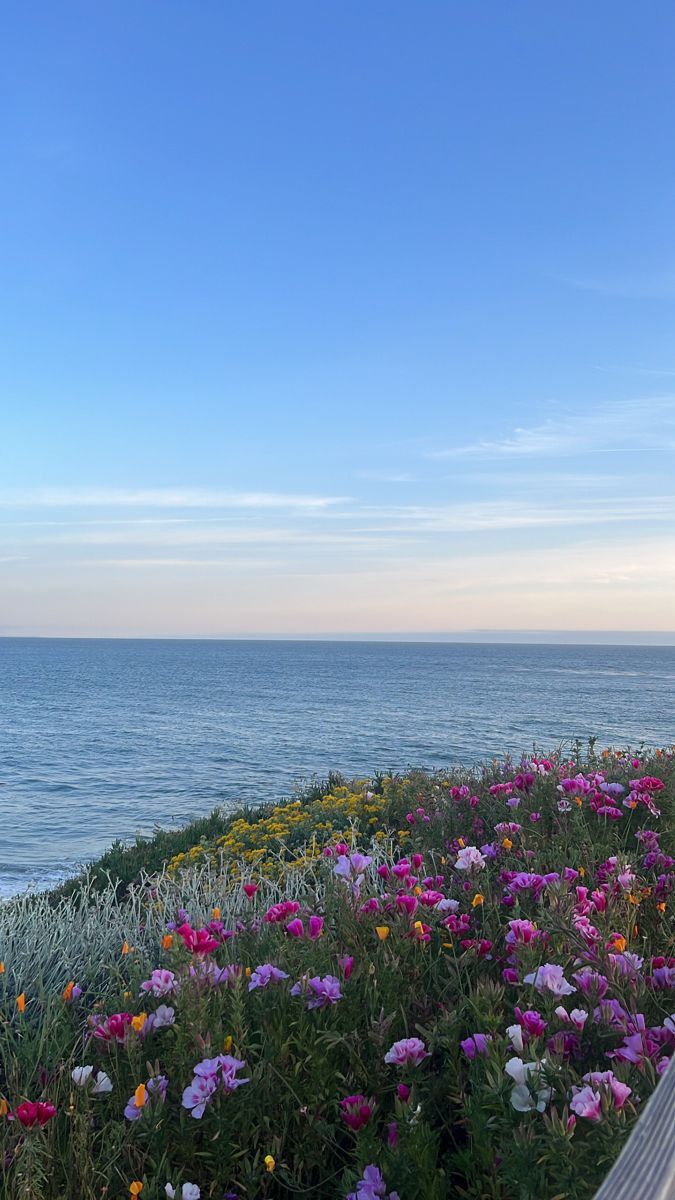 a bench sitting on top of a lush green hillside next to the ocean with wildflowers