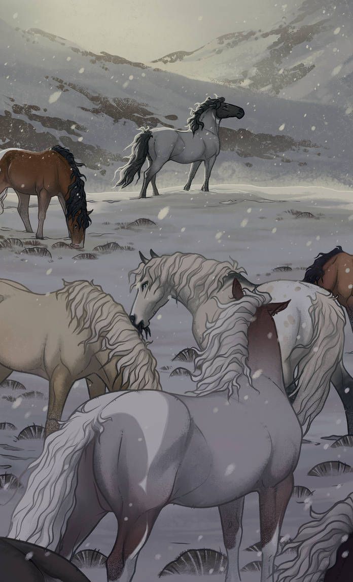 four horses are standing in the snow together