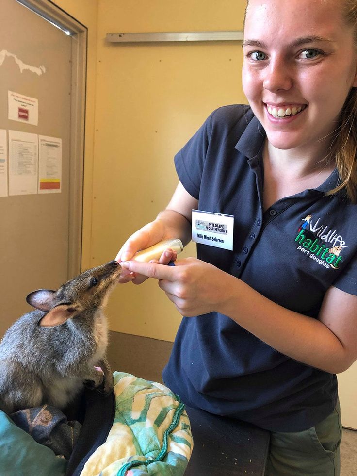 a woman is feeding a small animal with a tag