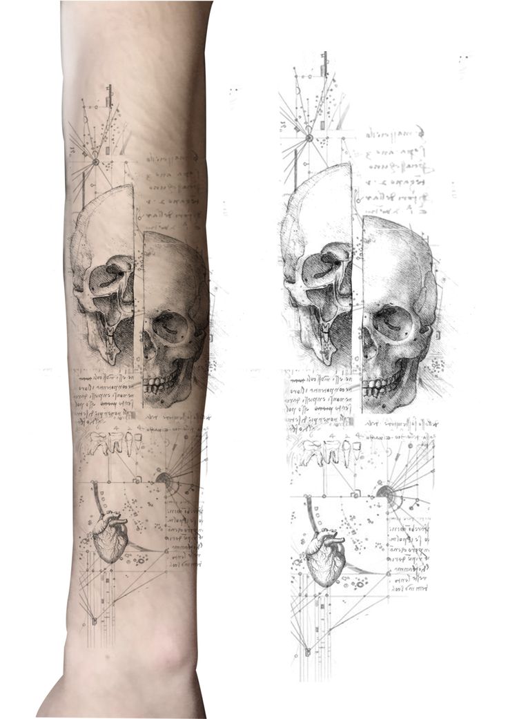 an arm with some drawings on it and a drawing of a human skull in the background