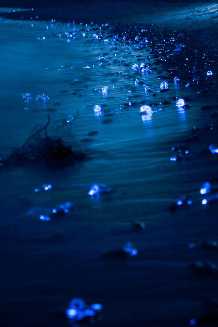 the water is blue and there are bubbles on the beach in the dark, it looks like they have been washed into the sand