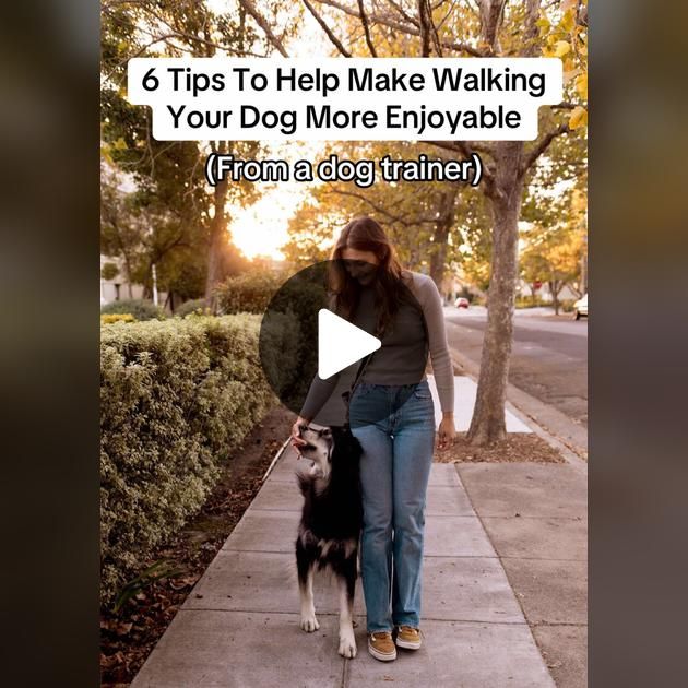 a woman walking her dog down a sidewalk with the caption 6 tips to help make walking your dog more enjoyable from a dog trainer