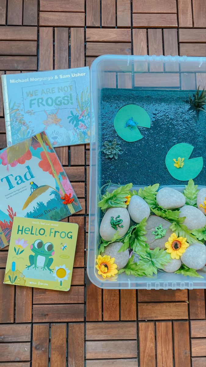 Frog sensory play 
Tuff tray for kids 
Frog play idea Big Sensory Bin Ideas, Frogs Eyfs, Frog Tuff Tray, Frog Sensory Bin, Chia Seed Sensory Play, Pond Life Activities For Infants, Frog Sensory Play, Water Tray Ideas Eyfs, Pond Life Toddler Activities