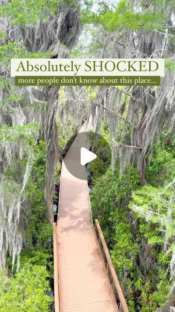 a wooden walkway with trees and moss growing on the sides that read absolutely shocked more people don't know about this place