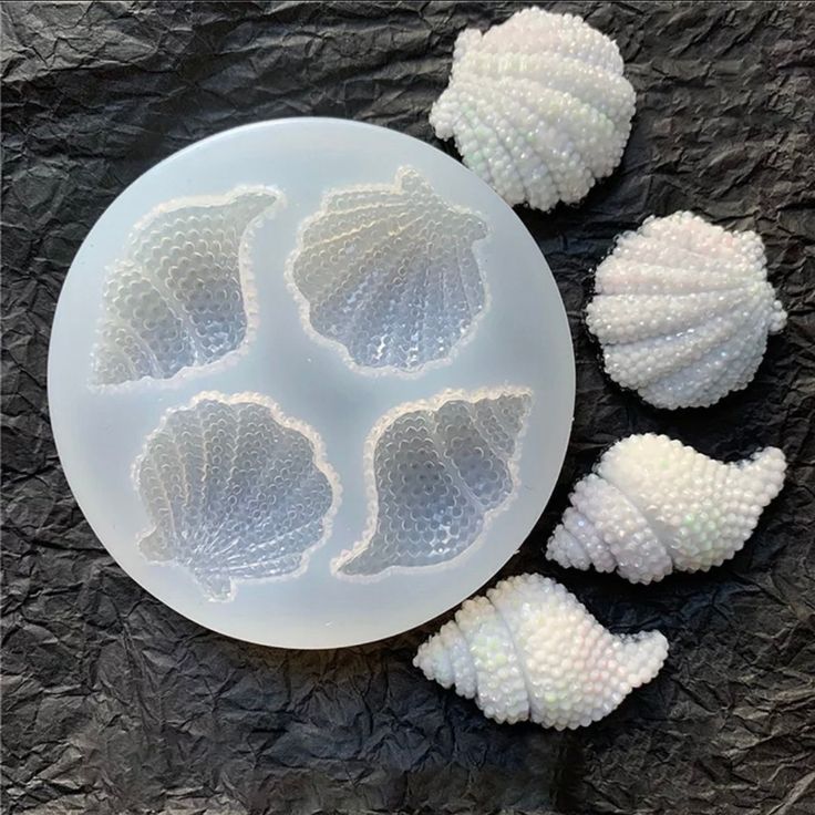 four white seashells sitting on top of a table next to a plate filled with them