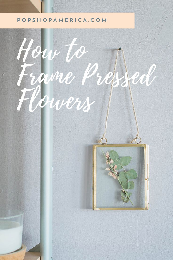 a frame hanging on the wall with flowers in it and text overlay that reads how to frame pressed flowers