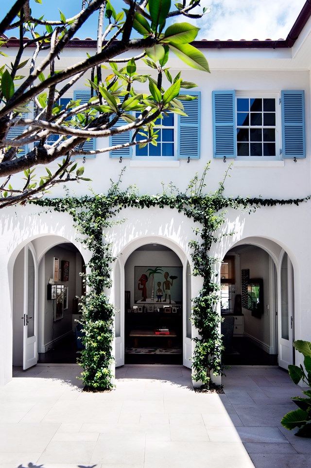 a white building with blue shutters and green plants on the outside wall, in front of it