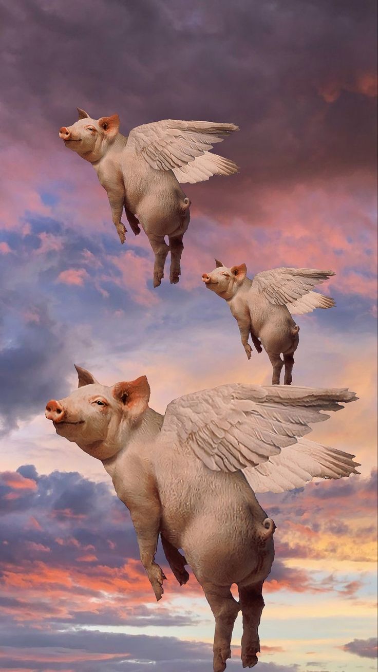 three pigs flying in the air with wings