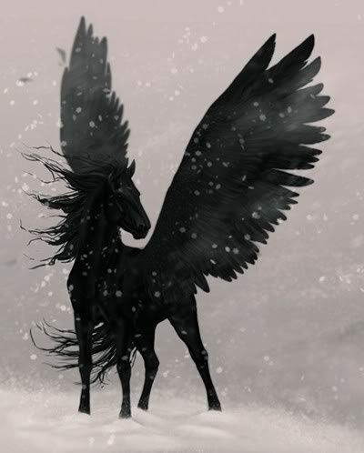 a black and white photo of a horse with its wings spread out in the snow