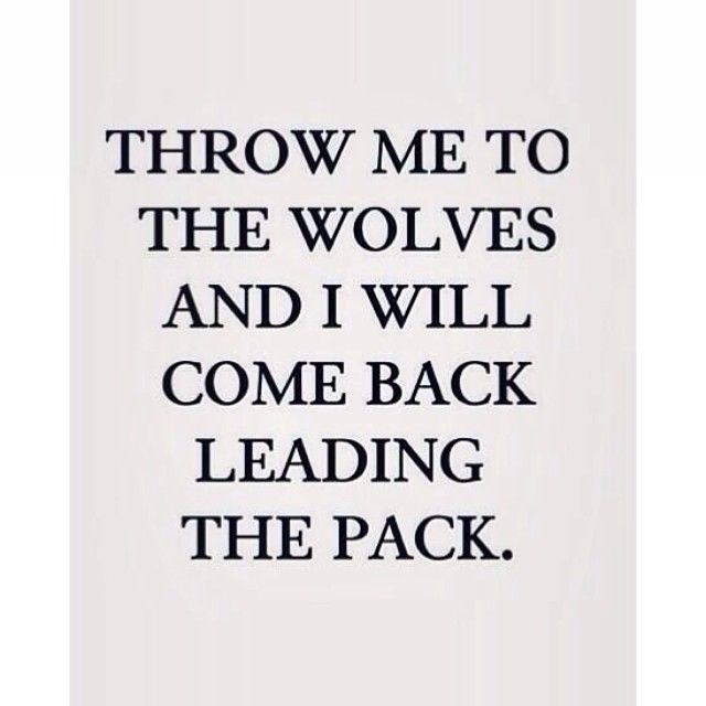 a quote that reads, throw me to the wolverines and i will come back leading the pack