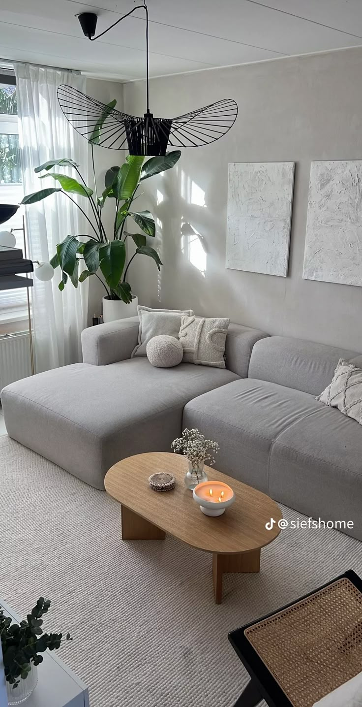 a living room with a couch, coffee table and potted plant in the corner