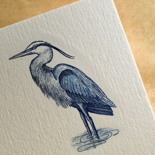 a blue bird is standing in water on a piece of white paper with black ink