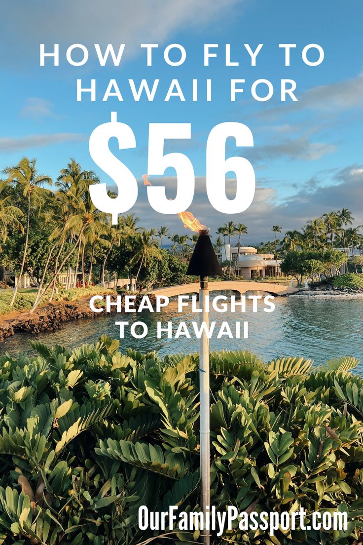 a sign that says how to fly to hawaii for $ 56