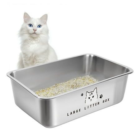 a white cat is sitting next to a large litter box that has rice in it