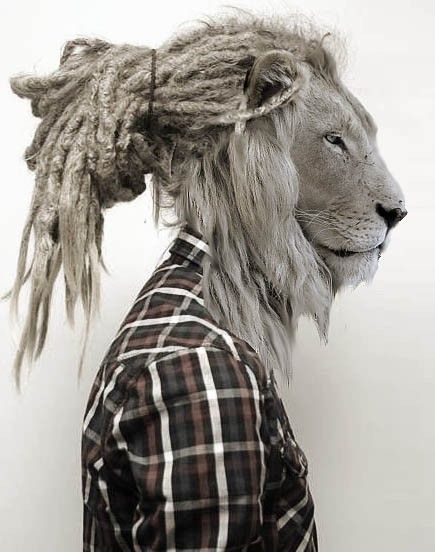 a lion with dreadlocks on its head is wearing a plaid shirt and standing in front of a white wall