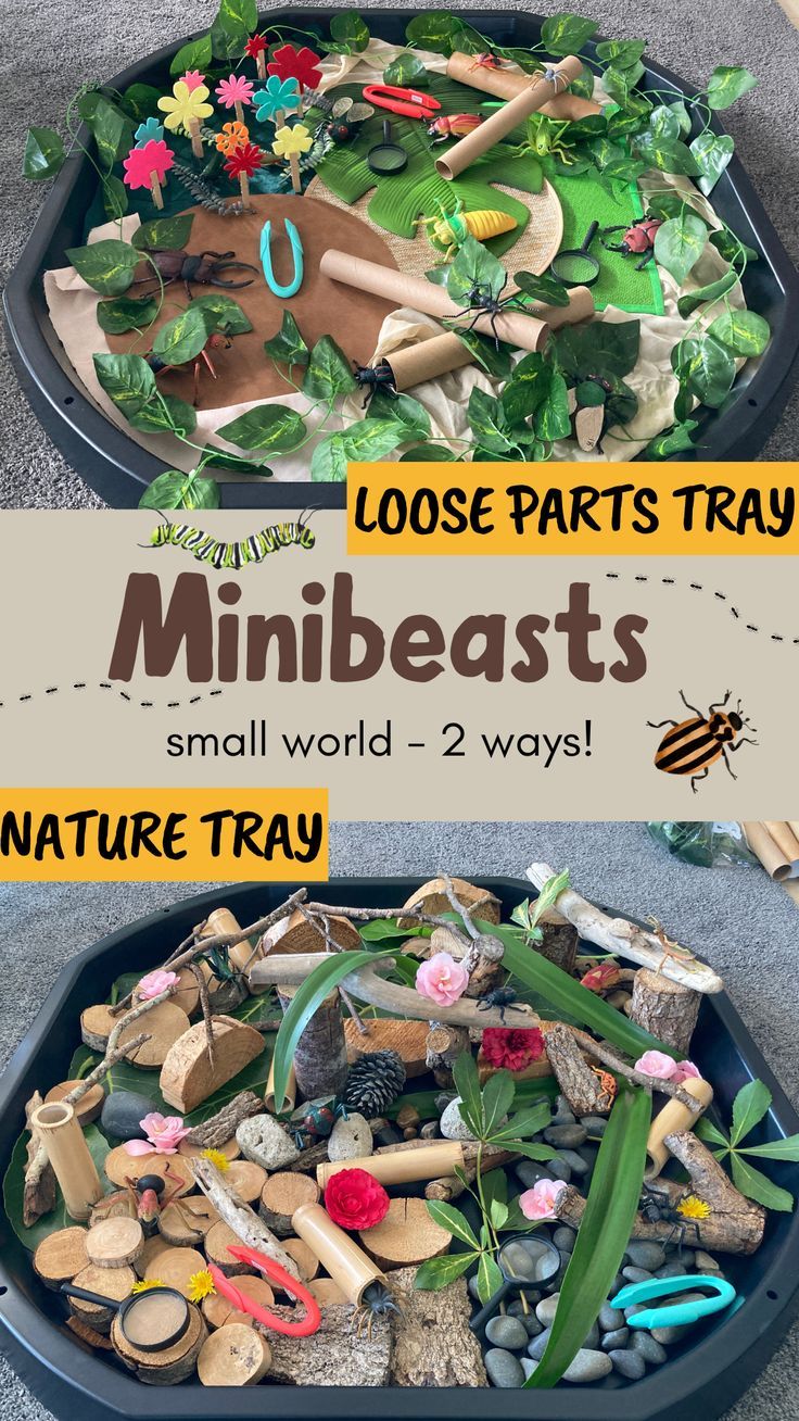 Fascinating minibeasts! You can make either of these easy minibeasts small worlds in a matter of minutes. Use a tuff tray or a shallow cardboard box to set up this minibeasts activity for kids. Watch the video to see how easy this is to set up. Small World Ideas Eyfs, Small World Activities Eyfs, Insect Tuff Tray Ideas, Loose Parts Tuff Tray Ideas, Eyfs Small World Ideas, Garden Tuff Tray Ideas, Nature Tuff Tray Ideas, Around The World Tuff Tray, Earth Day Tuff Tray Ideas